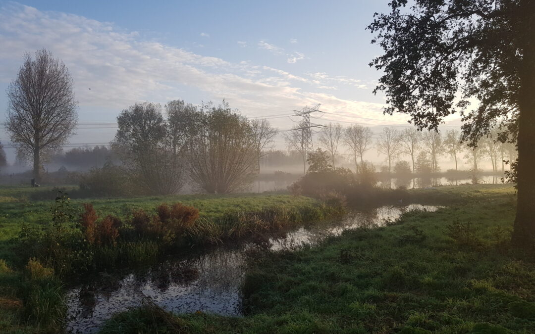 Beoordeling van herstelsanctie in fase van bezwaar