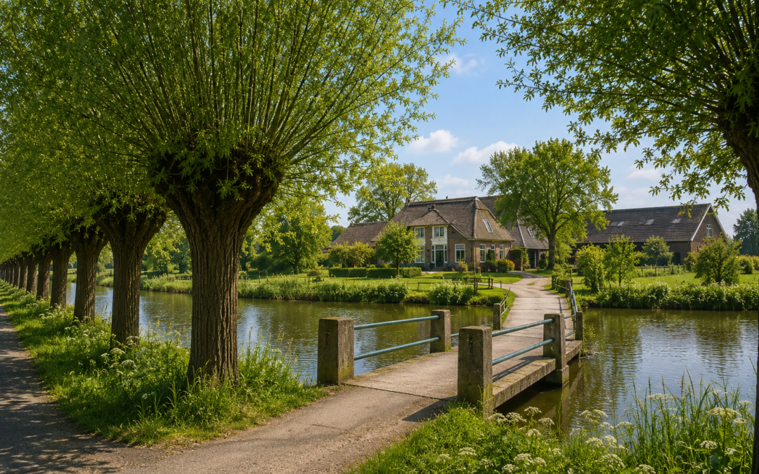 De ondernemer en de beschermde knotwilgen